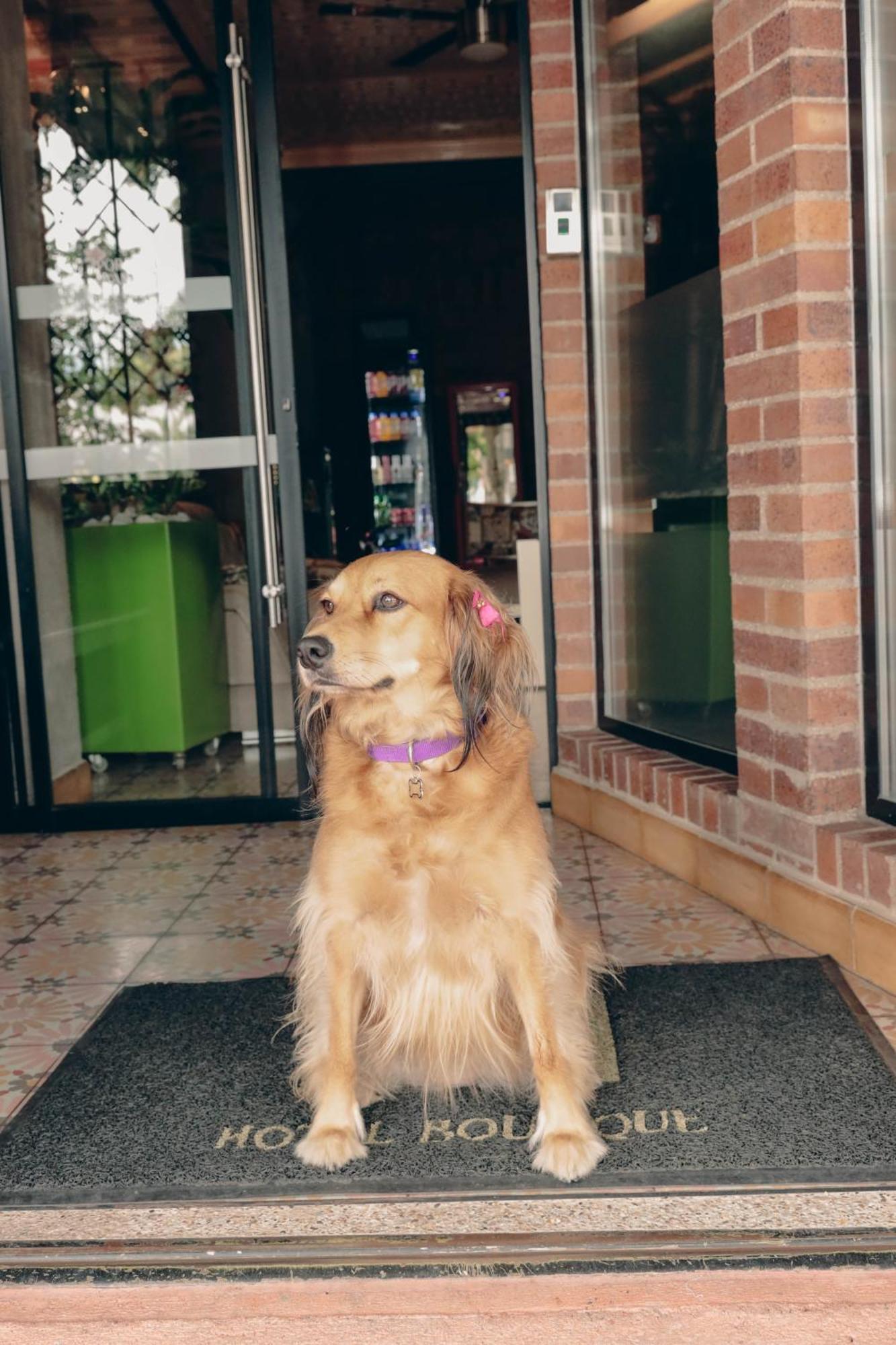 Bunde Haus Hotel Express Boutique Ibagué Dış mekan fotoğraf