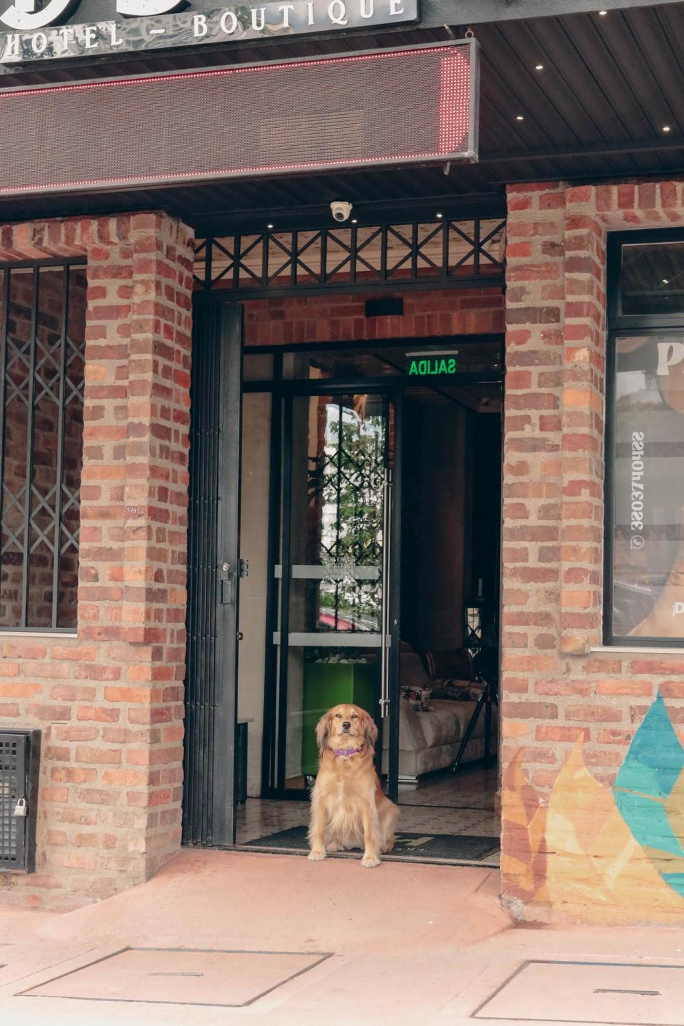 Bunde Haus Hotel Express Boutique Ibagué Dış mekan fotoğraf